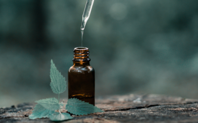 What Causes Leaky Gut?