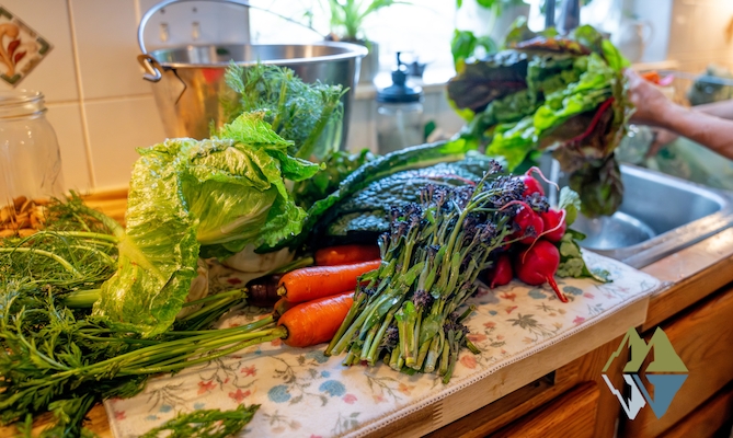5 Natural Remedies to Boost Energy Without Caffeine