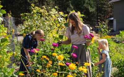 Natural Remedies to Ease Menopause Symptoms