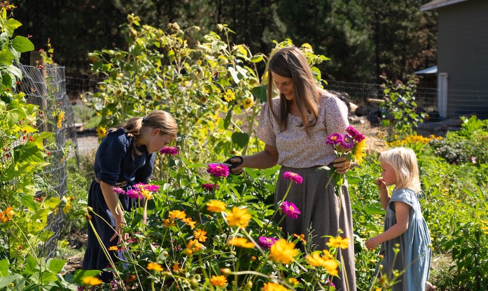 Natural Remedies to Ease Menopause Symptoms