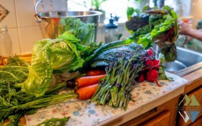 How to Support Your Body’s Natural Detox Pathways