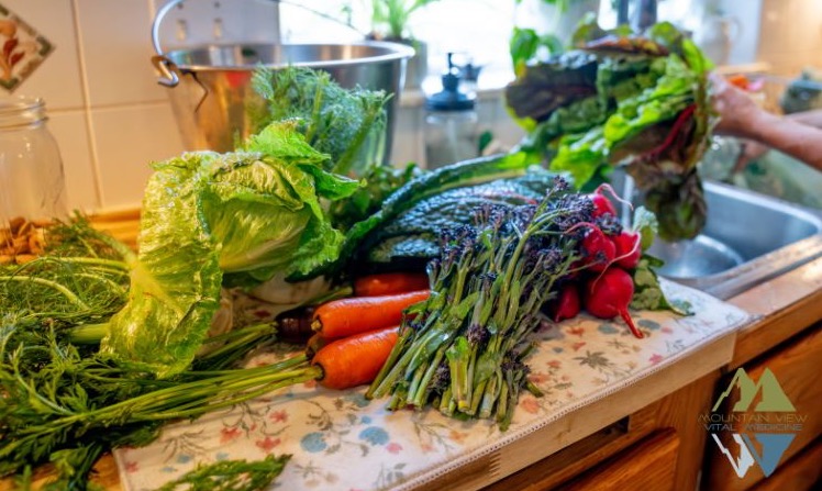 How to Support Your Body’s Natural Detox Pathways