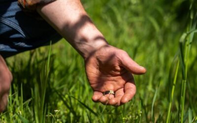 The Benefits of Regenerative Therapies for Joint Health